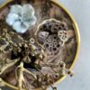 Dried Eucalyptus Seed Pod Branch - Image 3