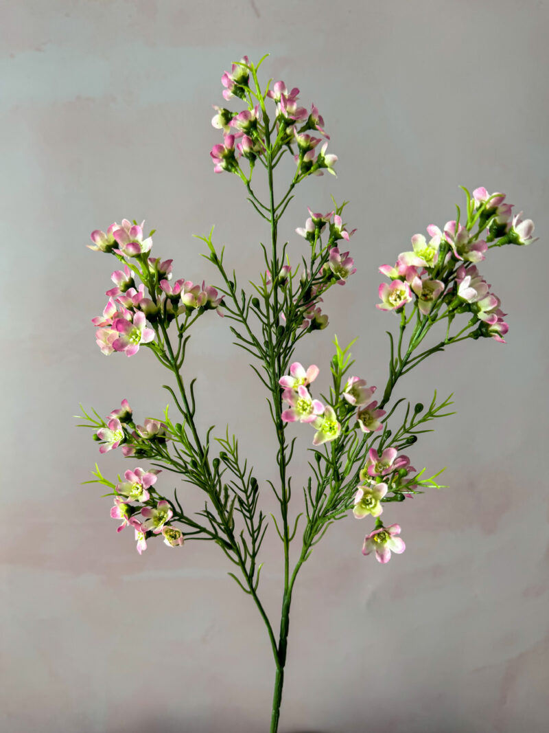 Faux Blush Wintersweet Spray - Image 3