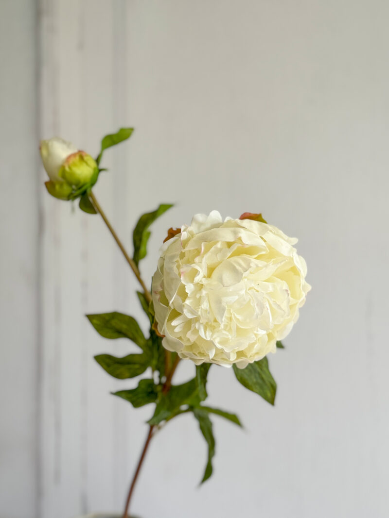 Faux 'Real Touch' White Peony Stem