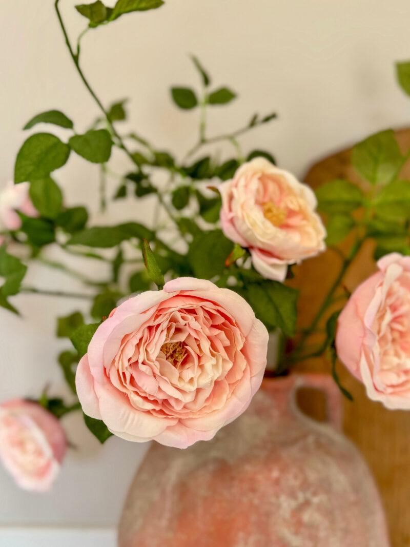 Faux Catherine Rose - Image 5