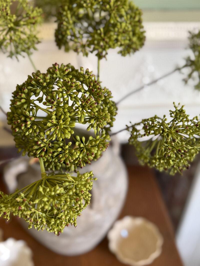Faux Angelica Stem - Image 6