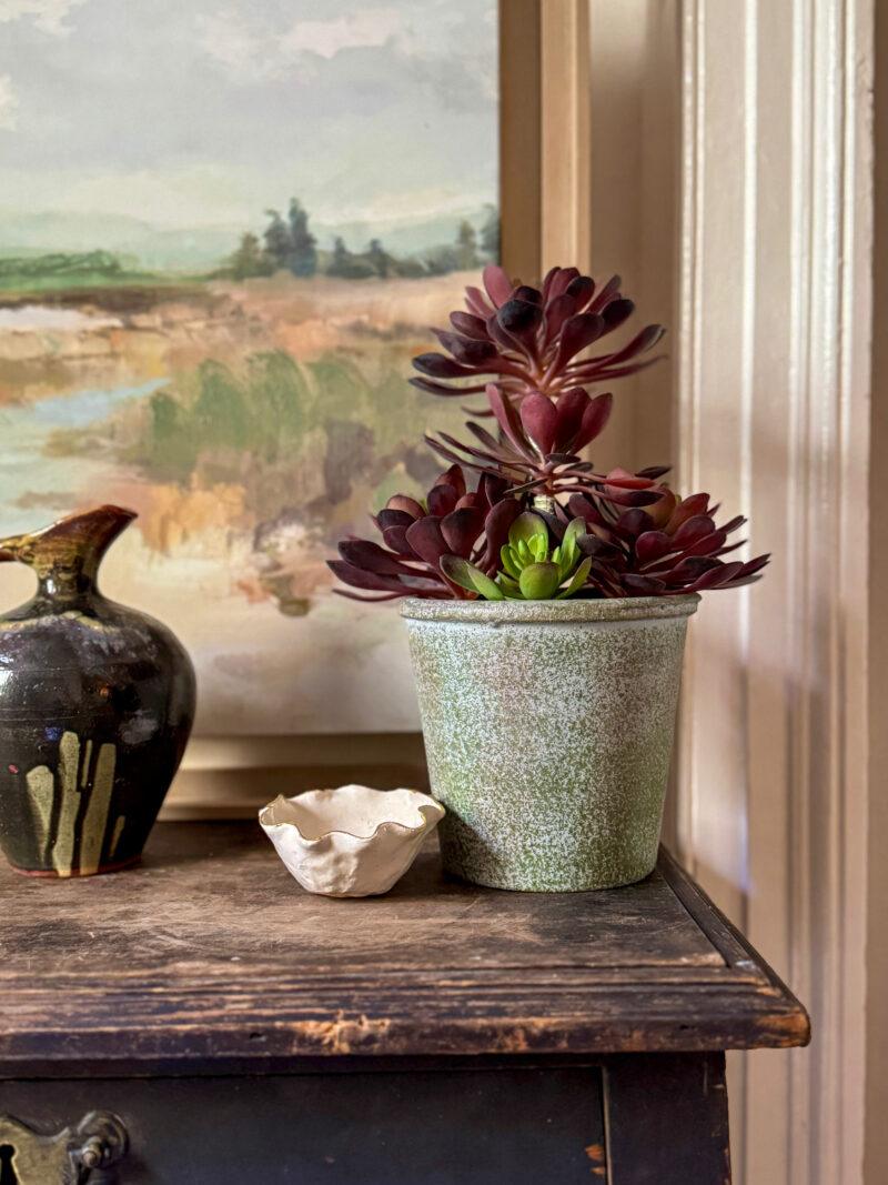 Faux Black Aeonium Succulent in Textured Pot - Image 5
