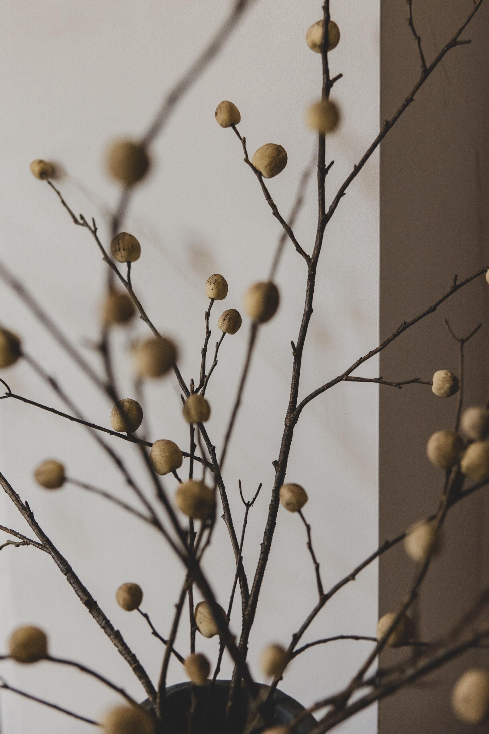 Faux Oak Apple Spray - Image 3