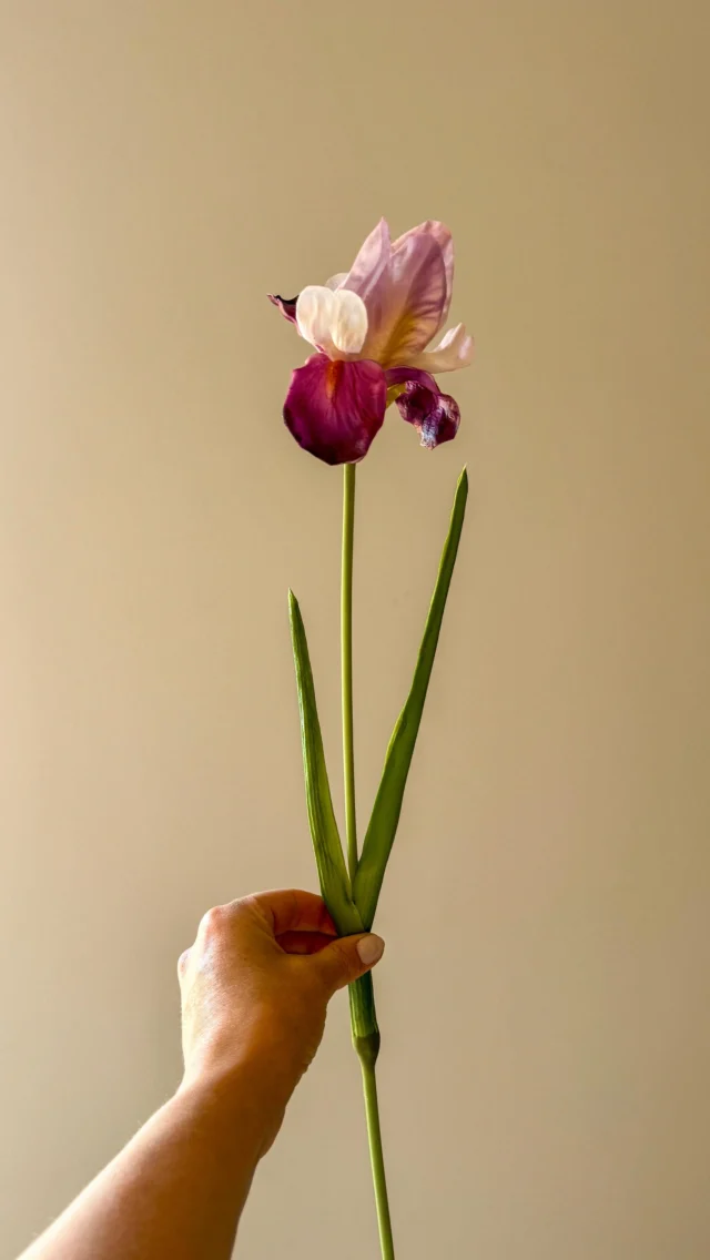 I’ll be honest, I used to think all fake flowers looked terrible, until they suddenly didn’t! They have come such a long way in recent years it can be so hard to tell faux from real…and believe me they are a game changer for the home! If you know someone who has *that* opinion on fake flowers share this with them, they’ll thank you for it later 😉 #fauxflowers #fauxflorals #smallbusiness #summerflowers #smallbusinessuk #resetwithreelschallenge3 #flowerdesign #flowerarrangements